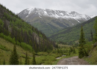 Alpine Loop Cinnamon and Engineer Pass