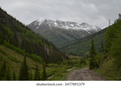 Alpine Loop Cinnamon and Engineer Pass
