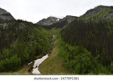 Alpine Loop Cinnamon and Engineer Pass