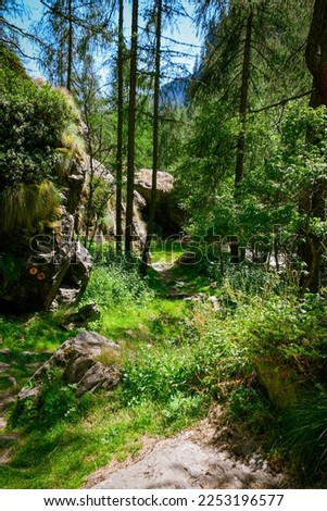 Similar – Image, Stock Photo In the Adersbach-Weckelsdorf Rock Town