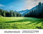 Alpine meadow in the Austrian Alps