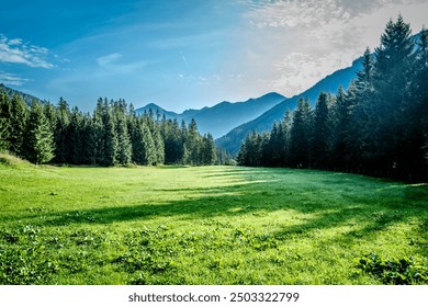 Alpine meadow in the Austrian Alps - Powered by Shutterstock