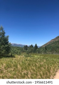 Alpine Meadow Looking Out Toward The Roaring Fork Valley