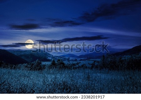 Alpine meadow with tall grass on a background of mountains at night. beautiful countryside scenery in full moon light