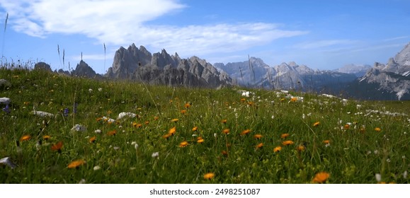 Alpine meadow with wildflowers against majestic rocky peaks of the Dolomites - Powered by Shutterstock