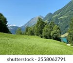 Alpine meadows along Lake Lungern or pastures by Lake Lungernsee - Canton of Obwald, Switzerland (Almwiesen entlang des Naturstausee Lungererses - Kanton Obwald, Schweiz)