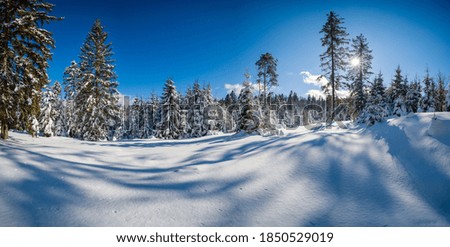 Similar – Image, Stock Photo Winter path…