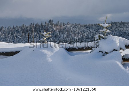 Image, Stock Photo winter idyll