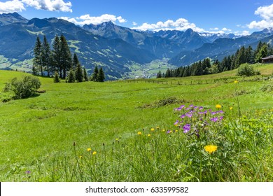 Alpine mountain view with bright green meadow in the foreground. Austria, Tirol, Zillertal, Zillertal High Alpine Road