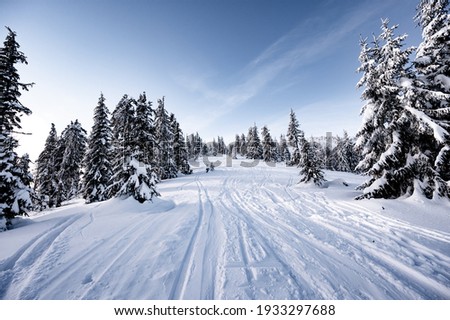 Alpine mountains landscape with white snow and blue sky. Sunset winter in nature. Frosty trees under warm sunlight. Wonderful wintry landscape