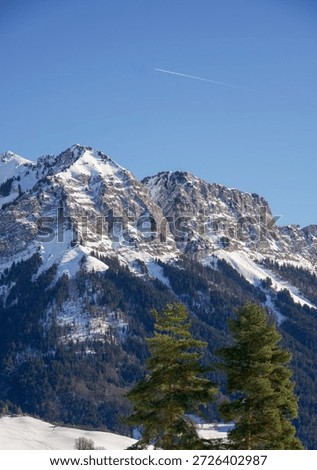 Alpine mountains with snow and pine trees. Rocky peaks rising above forested slopes. Calm winter landscape under a blue sky.
