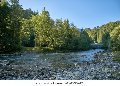 Alpine Oasis: A Mountain River's Journey through Rocky Shores and Forests. Alpine River, Rocky Shores, and Towering Forests. Nature, Mountain River, Spruce Forests, and Alpine Wilderness. Eco - Powered by Shutterstock