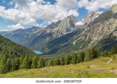 Alpine panorama with Lake Antholz and Rieserferner Group, Austrian Central Alps, view from Staller Saddle, Central Eastern Alps, Antholz Valley, South Tyrol, Italy