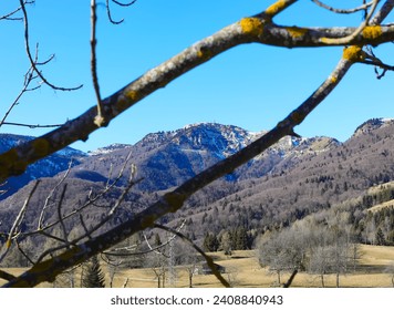 alpine panorama of the mountains of northern Italy in winter with little snow between the tree branches