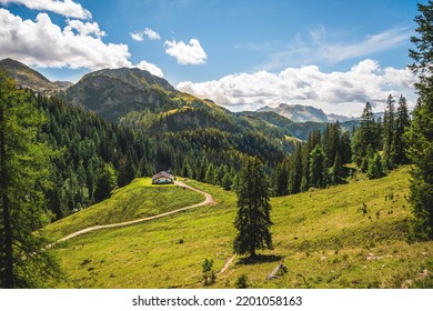 Alpine pasture, hut, Königsberg-Alm, hiking trail to the Jenner, Berchtesgaden National Park, Berchtesgadener Land, Upper Bavaria, Bavaria, Germany