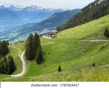 Alpine pastures and grasslands on the slopes of the Pilatus massif and in the alpine valleys at the foot of the mountain, Alpnach - Canton of Obwalden, Switzerland (Kanton Obwald, Schweiz)