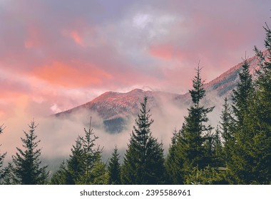 Alpine pine trees in foggy bright sunrise in mountains. Pink cloudy sky and mount range. Stunning wild nature during sunrise. Natural background. Travel, tourism, holiday, trekking, hiking - Powered by Shutterstock