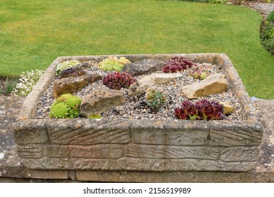 Alpine plants in a stone sink in a garden - Shutterstock ID 2156519989