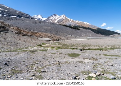 Alpine Scenery At The Columbia Icefield In Jasper National Park During Summer