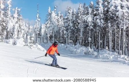 Alpine ski. Skiing woman skier going downhill against snow covered trees on ski trail slope piste in winter. Good recreational female skier in red ski jacket.