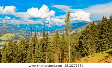 Alpine spring view at Mount Asitz, Leogang, Zell am See, Pinzgau, Salzburg, Austria