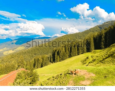 Alpine spring view at Mount Asitz, Leogang, Zell am See, Pinzgau, Salzburg, Austria