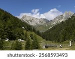 Alpine summer landscape and 