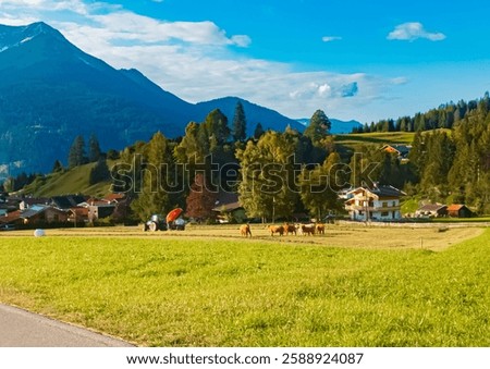 Alpine summer view with cows at Ehrwalder Alm, Ehrwald, Reutte, Tyrol, Austria