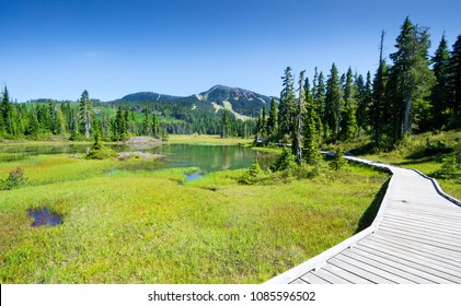 Paradise Meadows Trail Map Alpine Trail Meadow Strathcona Provincial Park Stock Photo 1085596502 |  Shutterstock