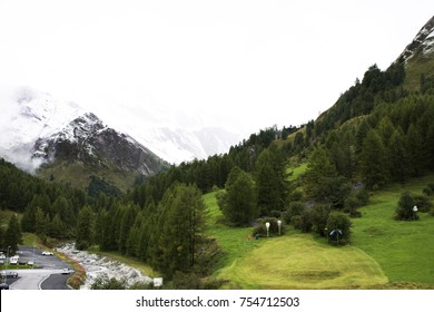 Alpine tree forest on the mountain with Alps highest and most extensive mountain range in Samnaun a high Alpine village at Graubunden region of Switzerland