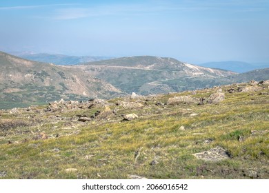 An Alpine Tundra Environment In The Rocky Mountains