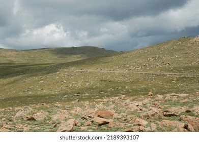 Alpine Tundra Rocky Mountain NP