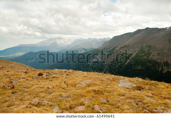 alpine tundra and rocky\
mountains