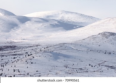 Alpine Tundra In Winter, Yukon Territory, Canada.