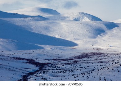 Alpine Tundra In Winter, Yukon Territory, Canada.