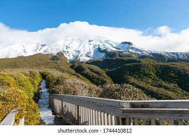 Alpine Vegetation unter dem Egmont mit schneebedeckter Bahn, die durch den Kamahi Wald zu den Berghängen Taranaki Neuseeland führt.