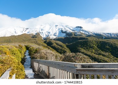 Alpine Vegetation unter dem Egmont mit schneebedeckter Bahn, die durch den Kamahi Wald zu den Berghängen Taranaki Neuseeland führt.