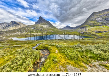 Alpine vegetation and steep mountain peaks along Trollstigen road from Andalsnes to Stranda Stock photo © 