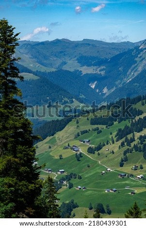 the alpine village named Marul, in the great valley of Walser, with flowered meadows, forests and trees and alpine farmhouses in sunny summer. beautiful view from above and over the mountains range