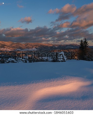 Foto Bild der letzte Stich Umwelt