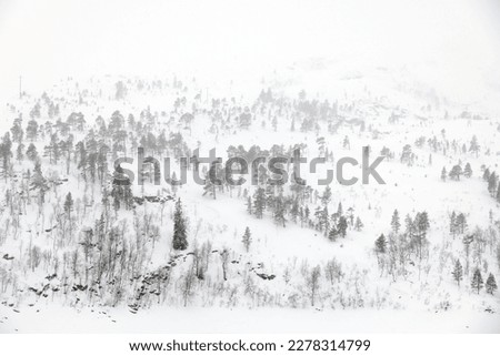 Similar – Peace. Winter Snow Field