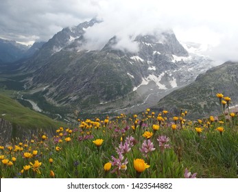 Alps, Switzerland, Tour du Mont Blanc - on route from the Col de la Forclaz pass to Col de Balme, beautiful view with colorful meadow with flowers and mountains in clouds and sunshine in background