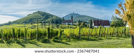 Alsatian Vineyard. Panoramic view of the Haut-Koenigsbourg castle, forests and vineyard fields all around and Orschwiller village