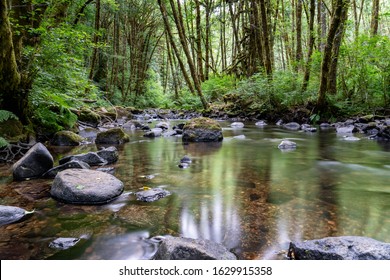 Alsea Falls Corvallis Oregon Coast Range