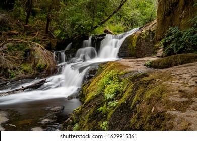 Alsea Falls Corvallis Oregon Coast Range