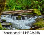 Alsea River Rapids 