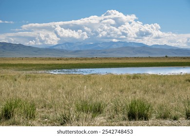 Altai natural landscape in the Chuya steppe. In the foreground is a cereal steppe. In the lake reflection of mountains, sky and clouds. In the background are mountains of Kurai mountain range - Powered by Shutterstock