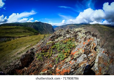 
Altai State Nature Reserve