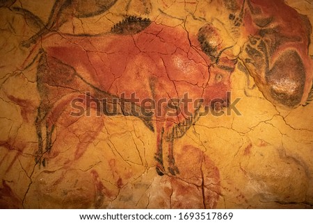 The Altamira Caves, Cantabria. Spanish rock art. It is the highest representation of cave painting in Spain