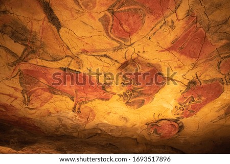 The Altamira Caves, Cantabria. Spanish rock art. It is the highest representation of cave painting in Spain